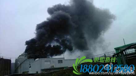 宁波蛟川石化区发生油罐爆炸 现场浓烟滚滚(图