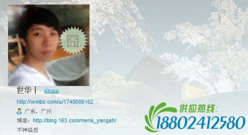 @世华：一声巨响将我从梦中吓醒，丹水坑路中断附近发生大爆炸。