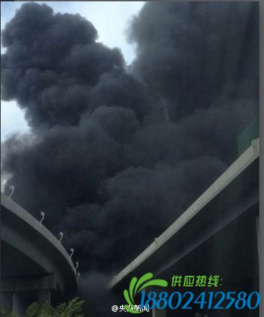 现场浓烟滚滚