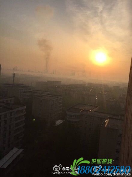 现场图 据网友微博