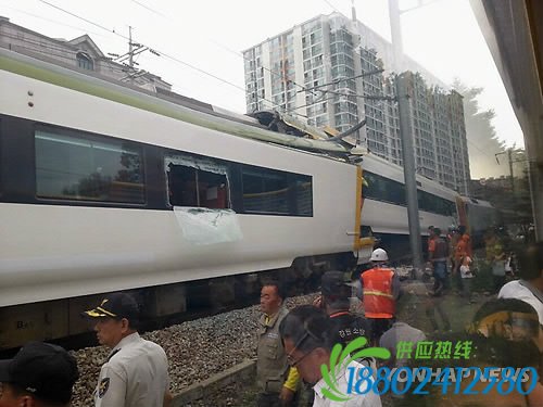 韩国江源道太白市22日下午5时53分许发生列车相撞事故。截至目前，这起事故导致1名60多岁女乘客死亡，83名乘客受伤。（韩联社）
