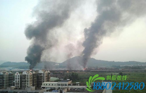 广深沿江高速发生油罐车连串爆炸 目前致19人死