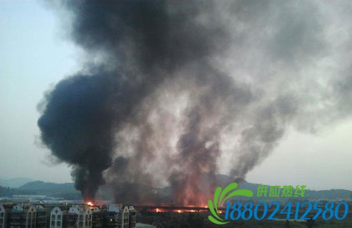 广深沿江高速发生油罐车连串爆炸 目前致19人死