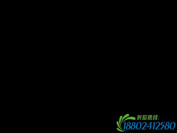 罐车压扁小轿车撞塌民房 视频监控能否查出原因？
