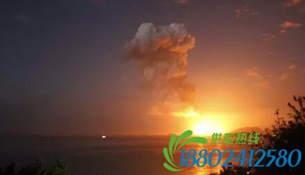 快讯：福建漳州古雷PX工厂爆炸 2个20000立方米常