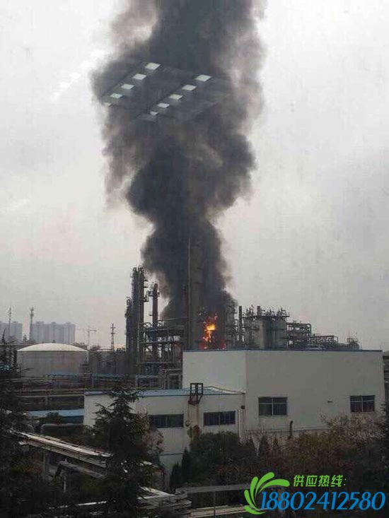 陕西咸阳一炼油厂发生爆炸引发火灾 周围存在居民住宅