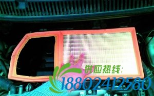 2015年7月9日星期