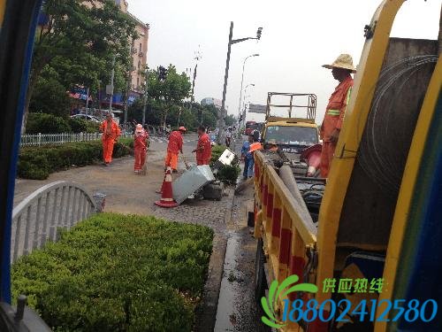 9吨油罐车 今晨浦东联洋侧翻(图)