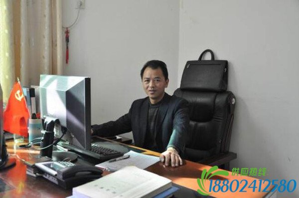 许大勇办公室办公照