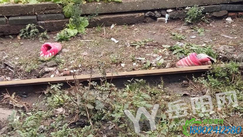 岳阳桥西惊现一具女尸 疑似被火车撞成两段