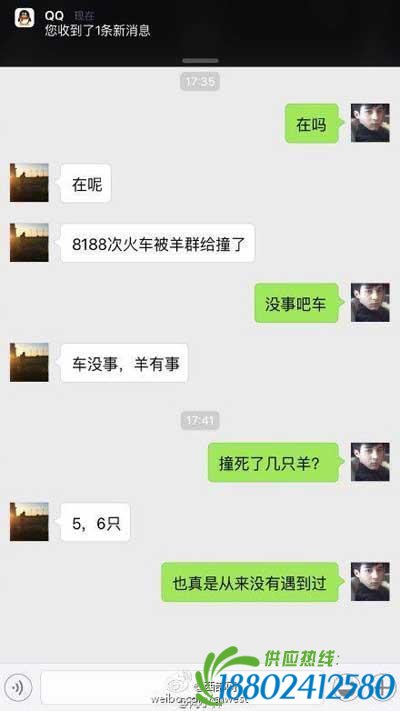 西安开往榆林K8188次列车与羊群相撞致列车晚点