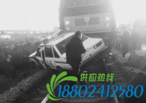邯郸一辆火车与警察相撞警车被推出数十米