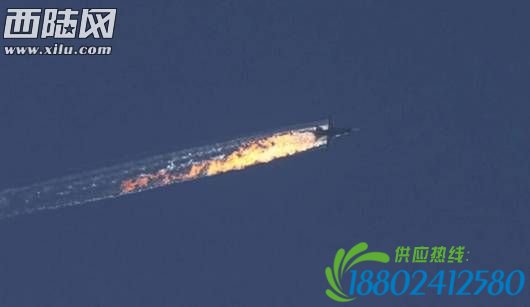 土耳其击落俄战机动机曝光：中国到底得到了什么