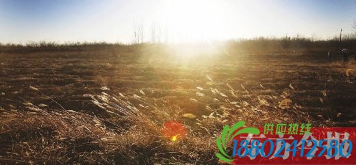郑州西北风吹散雾霾 市民享受冬日暖阳