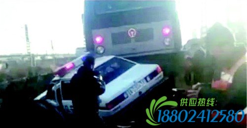 12月4日下午，一列火车经过一个铁路道口时撞了一辆警车，好在警车上的两名民警没有大碍。