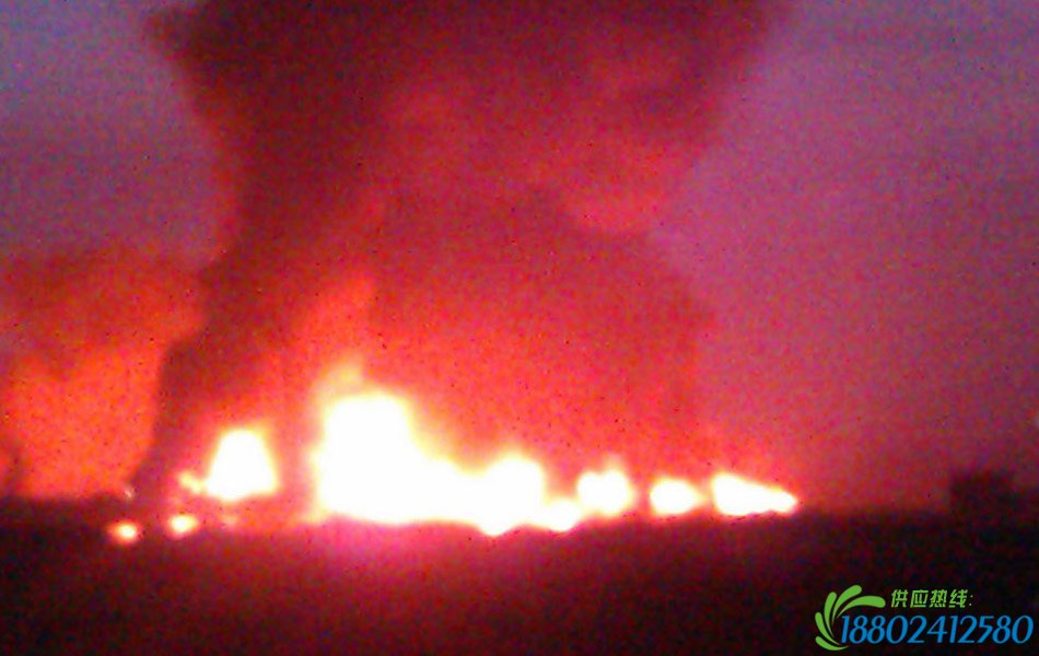 中广网广州6月29日消息（记者周羽）2012年6月29日04时许，广州沿江高速夏港出口往东莞麻涌方向，一辆大货车与一辆装有40吨溶机油的油罐车发生追尾，造成油罐泄漏着火，并引燃桥下的露天木材加工厂工蓬。事故造成20人死亡14人受伤，其中1人重伤。当日4时34分，广州市消防支队收到广州市公安局110转来警情。广东省消防总队及广州市消防支队指挥中心立即调度17个中队、37辆消防车、3台指挥车、230余人到场处置，并调度石化厂2台堵漏车到场处置。