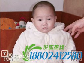 帮孩子回家春节特别行动