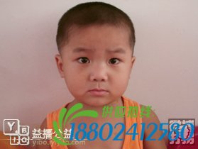 帮孩子回家春节特别行动