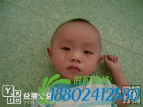帮孩子回家春节特别行动