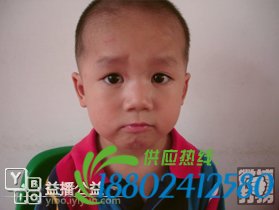 帮孩子回家春节特别行动