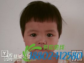 帮孩子回家春节特别行动