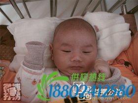 帮孩子回家春节特别行动