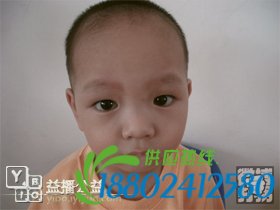 帮孩子回家春节特别行动