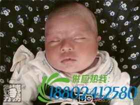 帮孩子回家春节特别行动