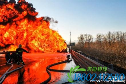 北京油罐车爆炸 周围10公里外都能看到浓烟