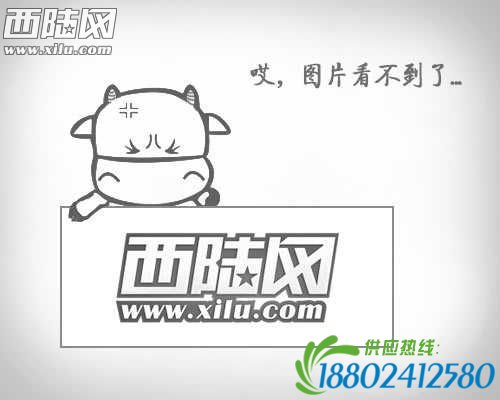 黑龙江一旅客列车与货车相撞致1死1伤原因待查