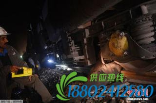 当地时间12月15日，印度默哈嫩达野生动物保护Gulma地区，一列客运列车与一头雌性大象相撞，导致脱轨，大象当场死亡，但尚无人员伤亡报告。