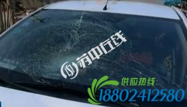 江苏大丰司机路口按喇叭却无用 不慎将聋哑男子撞飞
