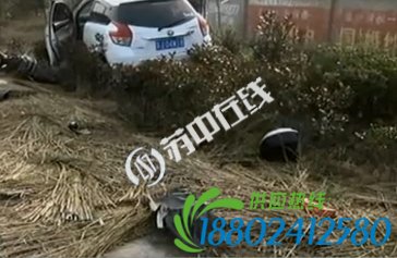 江苏大丰司机路口按喇叭却无用 不慎将聋哑男子撞飞