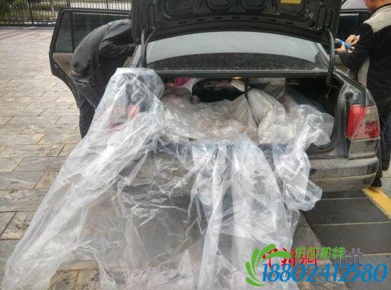 团伙改装小车成“油罐车” 频换假牌照露马脚