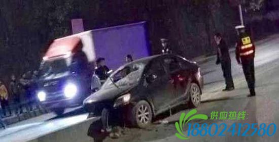12月3日晚七点三十四分，南环快速干道陈家沟大桥处发生一起交通事故。