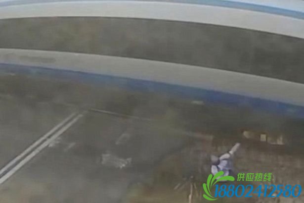 英男子骑自行车与高速列车相撞竟死里逃生