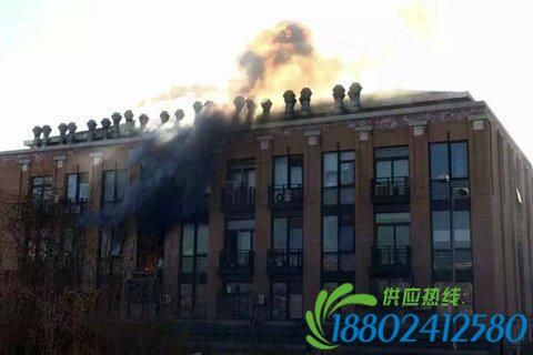 清华大学爆炸原因:博士生孟祥见正做氢气试验