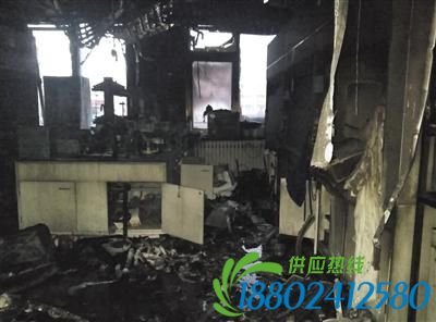 清华大学爆炸原因:博士生孟祥见正做氢气试验