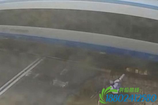 英国男子骑自行车与高速列车相撞 毫发无损