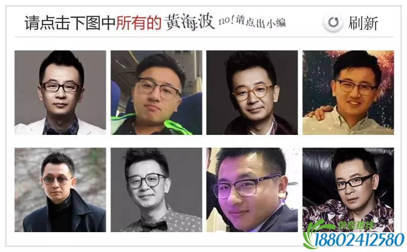 12306验证码青岛新闻网版：小编撞脸徐静蕾钟汉良李秉宪