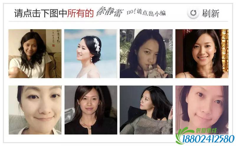 12306验证码青岛新闻网版：小编撞脸徐静蕾钟汉良李秉宪