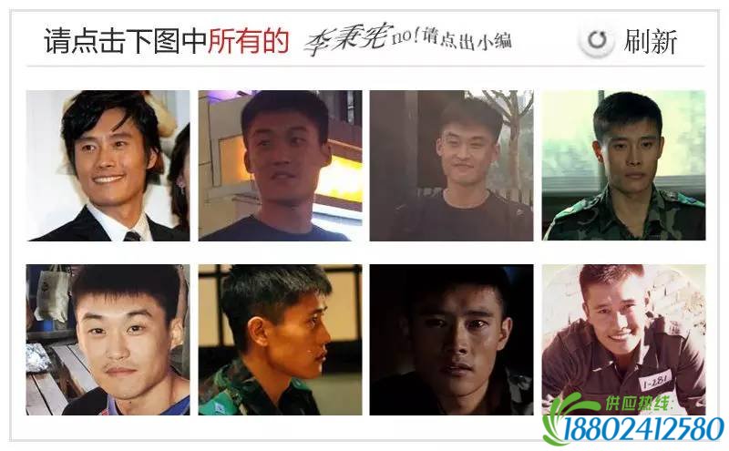 12306验证码青岛新闻网版：小编撞脸徐静蕾钟汉良李秉宪