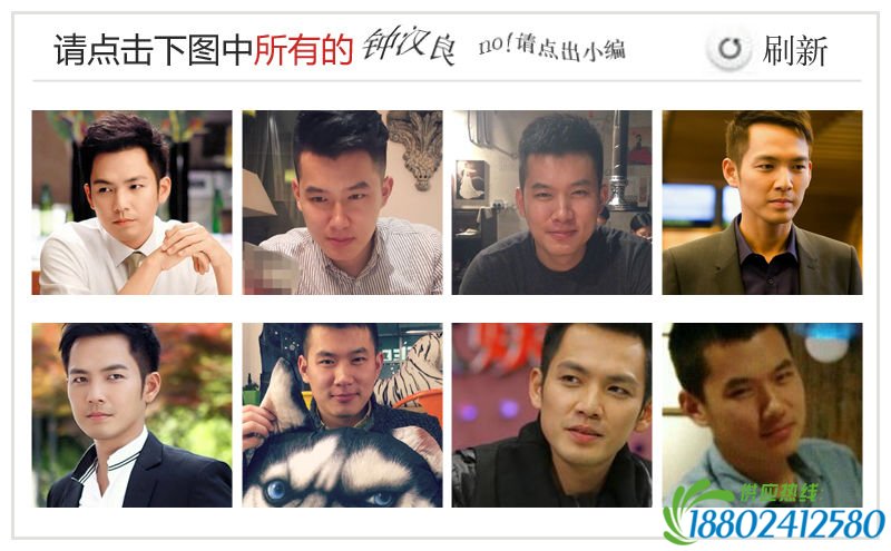 12306验证码青岛新闻网版：小编撞脸徐静蕾钟汉良李秉宪