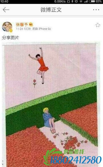 李晨范冰冰恩爱庆生 张馨予分享内涵图随后秒删