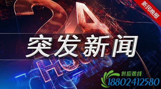 【新民网·最新报道】新民晚报新民网获悉，今天上午10时左右，一辆装有天然气的槽罐车在浦东新区龙东大道近外环线处发生侧翻，车上两人受伤。所幸当时车载天然气没有发生泄漏，道路一度封闭。