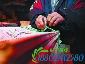 风雨卖报人