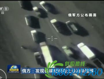 俄称发现极端组织向土运油新路线：有上万油罐