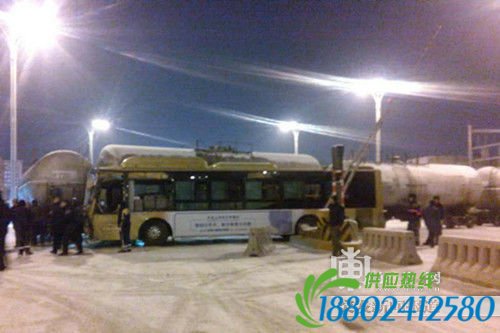 公交车被拖走。图片由网友提供