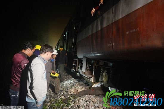 近年来，由于森林面积不断缩小，印度大象的领地也越来越多的被人类侵占，加上偷猎、交通事故等因素，<a href=