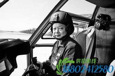 雄鹰劲旅领航人